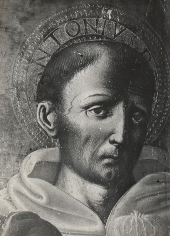 Perez, Ferdinando — Pietro Di Domenico. La Vergine, il Figlio e Santi — particolare